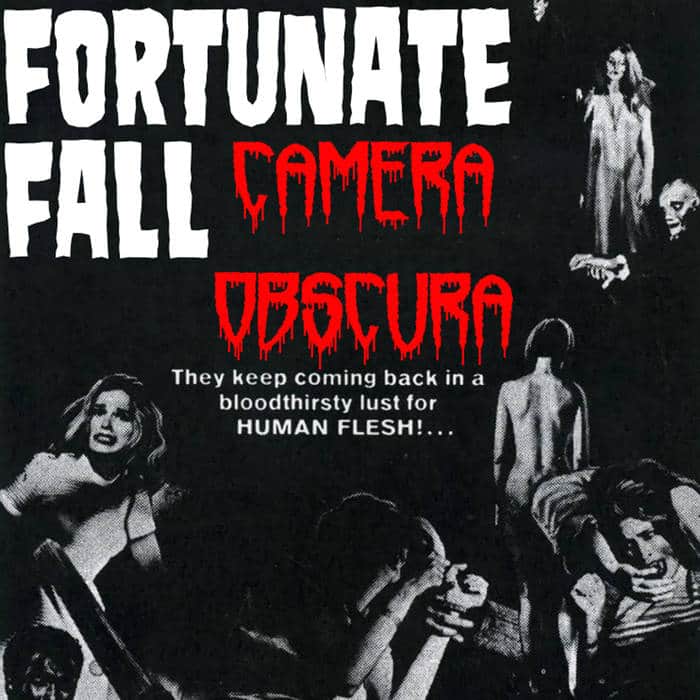 Camera Obscura - Fortunate Fall
